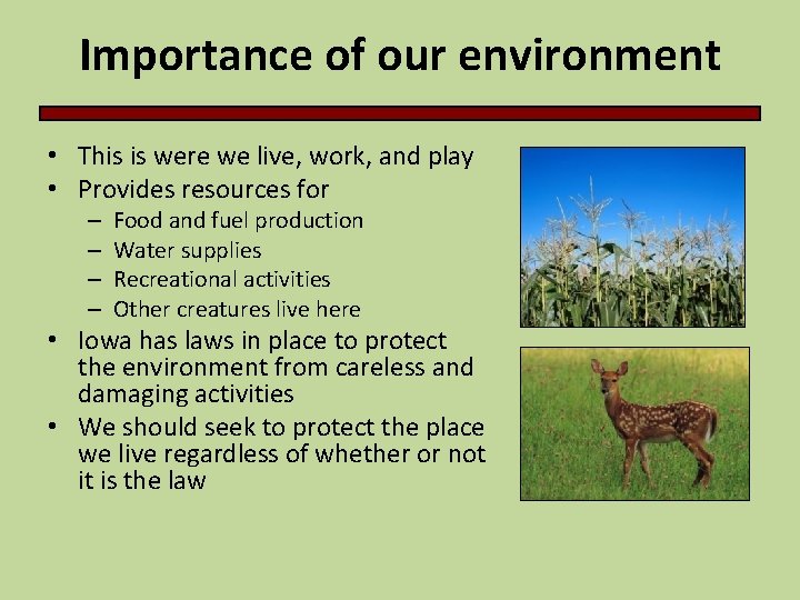 Importance of our environment • This is were we live, work, and play •