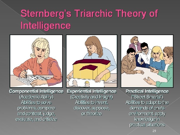 Sternberg’s Triarchic Theory of Intelligence 29 
