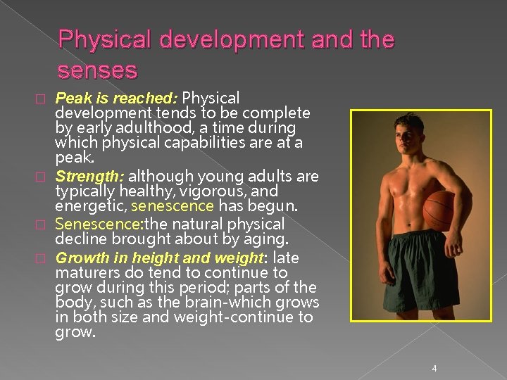 Physical development and the senses Peak is reached: Physical development tends to be complete