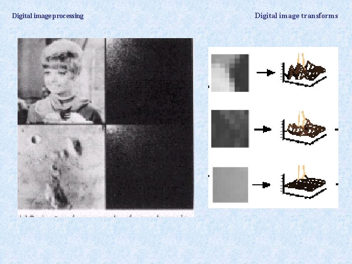 Digital image processing Digital image transforms 