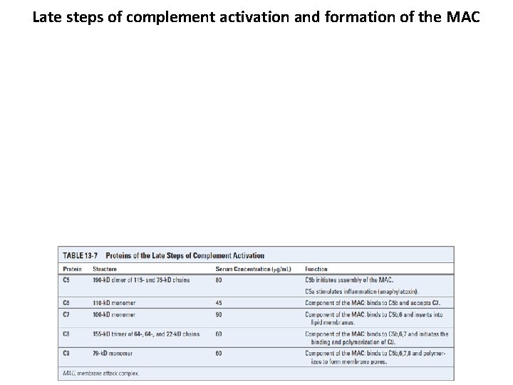 Late steps of complement activation and formation of the MAC 