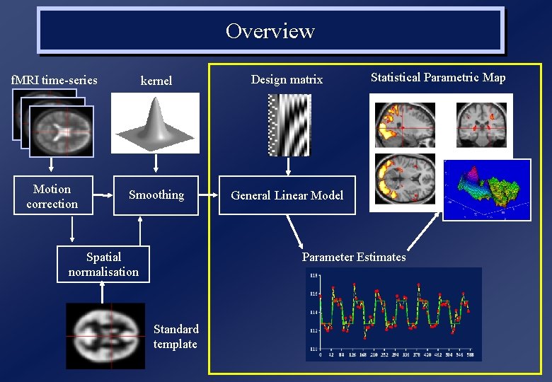 Overview f. MRI time-series kernel Design matrix Motion correction Smoothing General Linear Model Spatial