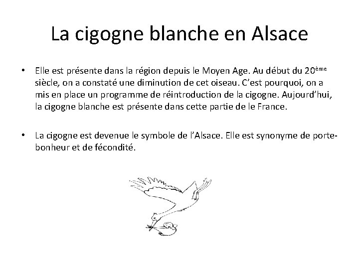 La cigogne blanche en Alsace • Elle est présente dans la région depuis le