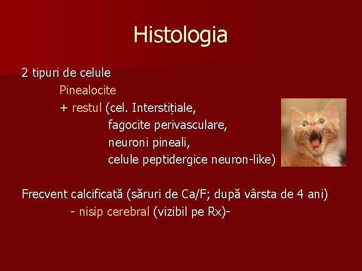 Histologia 2 tipuri de celule Pinealocite + restul (cel. Interstițiale, fagocite perivasculare, neuroni pineali,