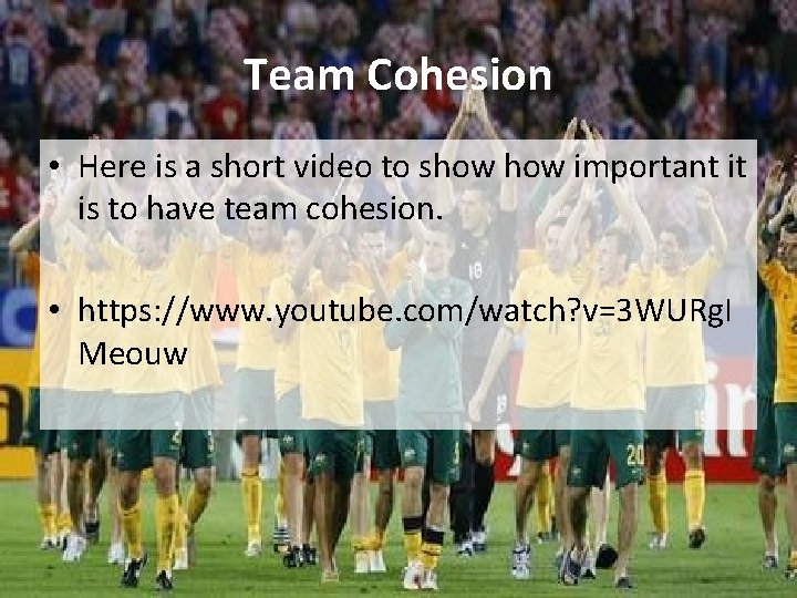 Team Cohesion • Here is a short video to show important it is to