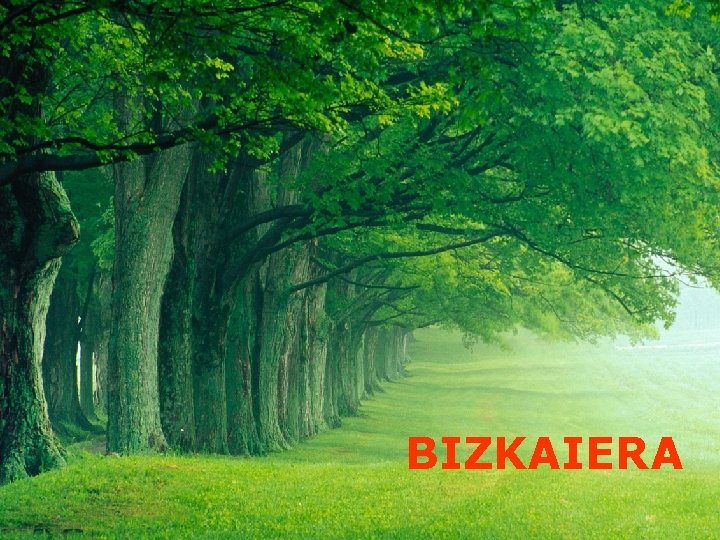 BIZKAIERA 