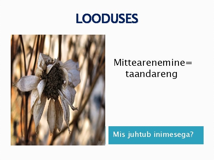 LOODUSES Mittearenemine= taandareng Mis juhtub inimesega? 