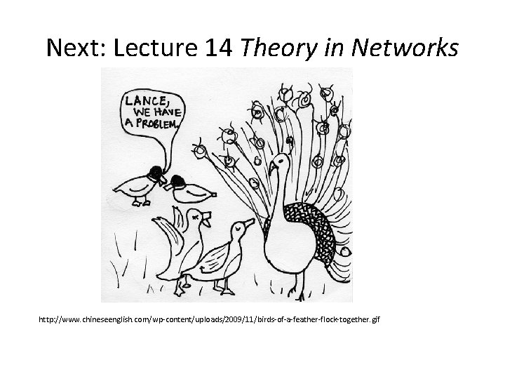 Next: Lecture 14 Theory in Networks http: //www. chineseenglish. com/wp-content/uploads/2009/11/birds-of-a-feather-flock-together. gif 