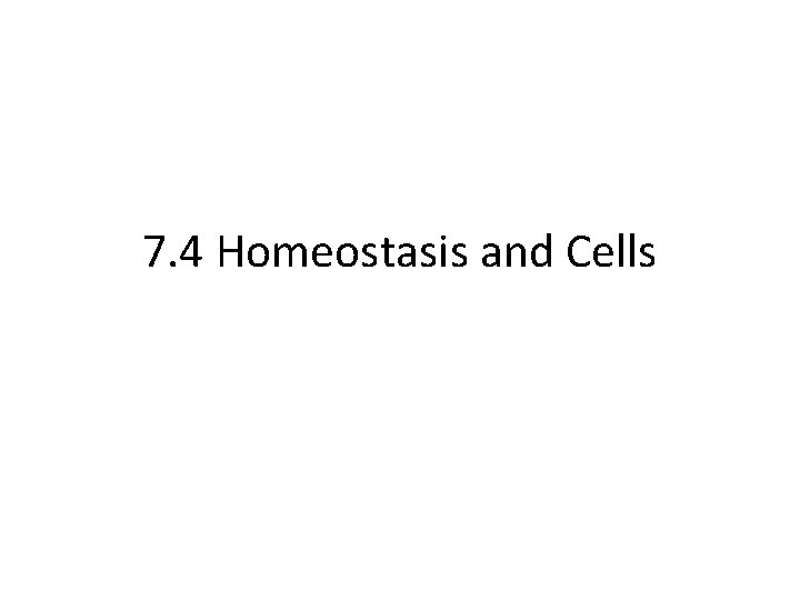 7. 4 Homeostasis and Cells 