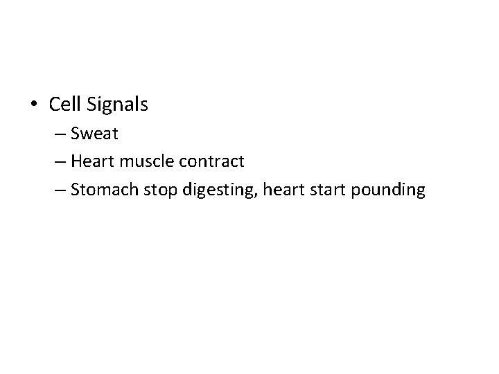  • Cell Signals – Sweat – Heart muscle contract – Stomach stop digesting,