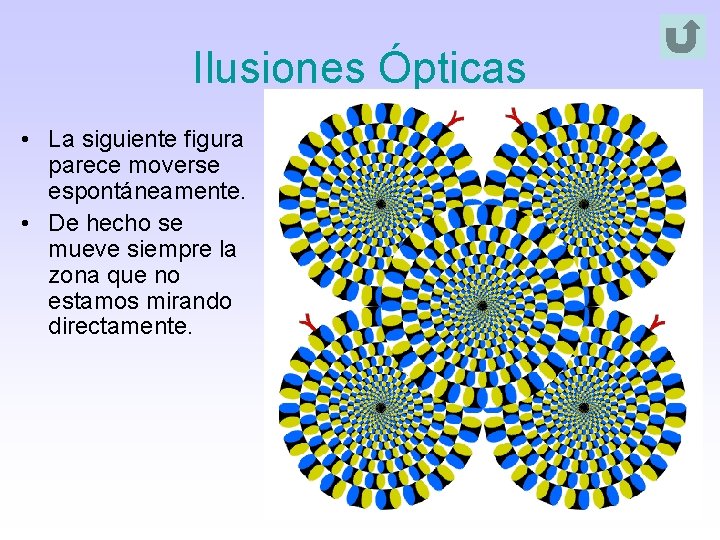 Ilusiones Ópticas • La siguiente figura parece moverse espontáneamente. • De hecho se mueve Ilusiones Ópticas • La siguiente figura parece moverse espontáneamente. • De hecho se mueve