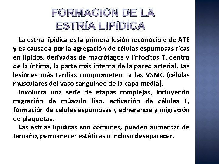 La estría lipídica es la primera lesión reconocible de ATE y es causada por