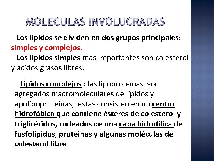 Los lípidos se dividen en dos grupos principales: simples y complejos. Los lípidos simples