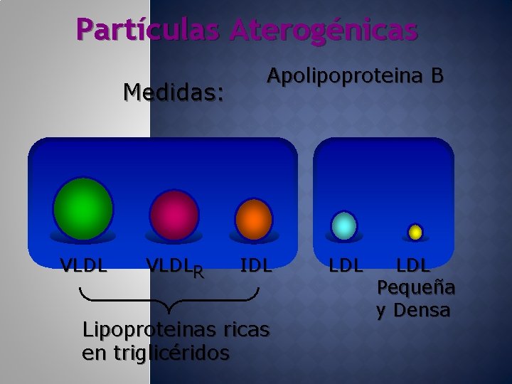 Partículas Aterogénicas Medidas: VLDLR Apolipoproteina B IDL Lipoproteinas ricas en triglicéridos LDL Pequeña y