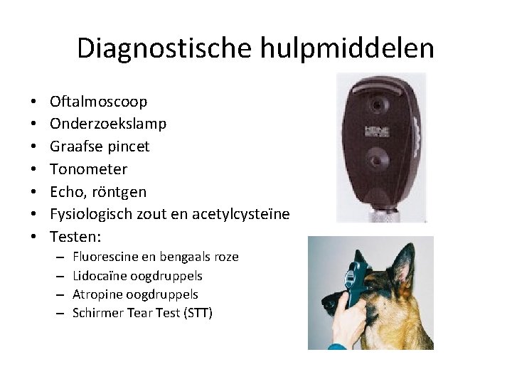 Diagnostische hulpmiddelen • • Oftalmoscoop Onderzoekslamp Graafse pincet Tonometer Echo, röntgen Fysiologisch zout en