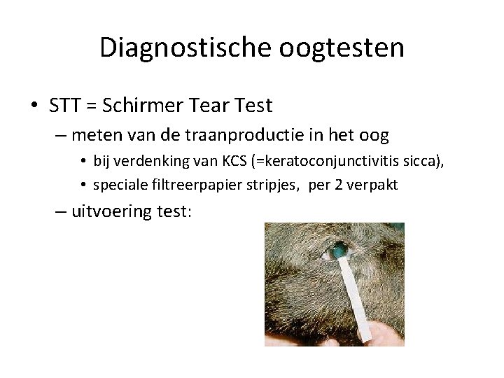 Diagnostische oogtesten • STT = Schirmer Tear Test – meten van de traanproductie in