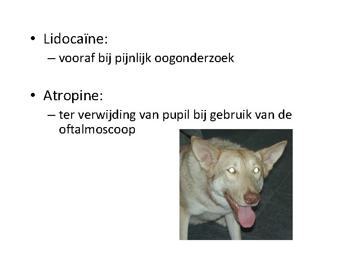  • Lidocaïne: – vooraf bij pijnlijk oogonderzoek • Atropine: – ter verwijding van