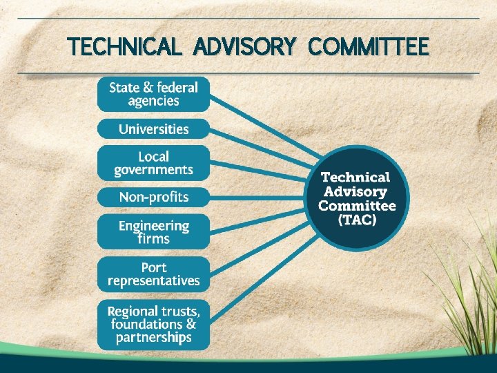 TECHNICAL ADVISORY COMMITTEE TECHNICAL ADVISORY COMMITTEE