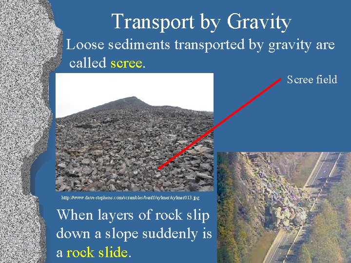 Transport by Gravity Loose sediments transported by gravity are called scree. Scree field http: