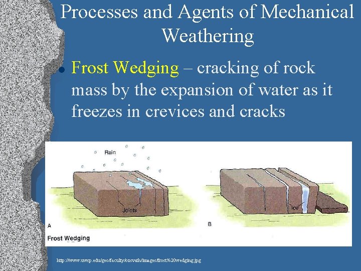 Processes and Agents of Mechanical Weathering l Frost Wedging – cracking of rock mass