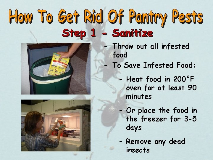 – Throw out all infested food – To Save Infested Food: – Heat food