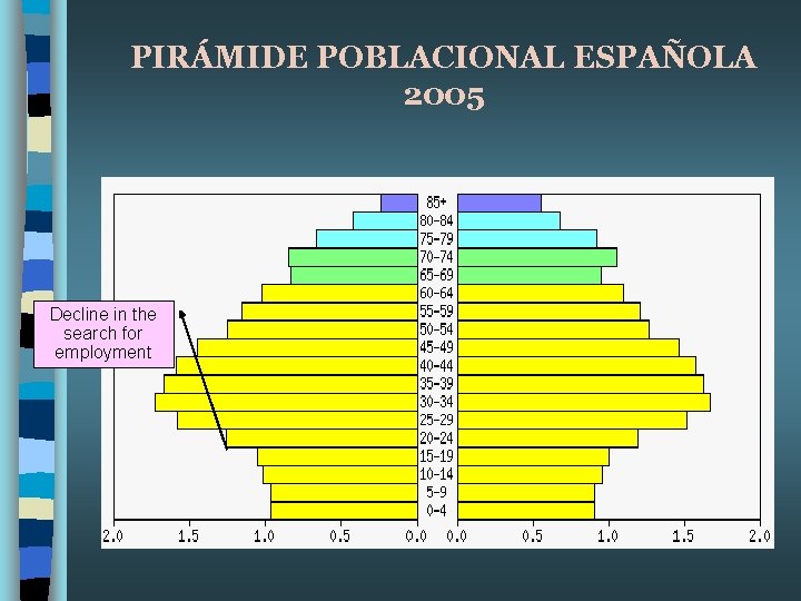 PIRÁMIDE POBLACIONAL ESPAÑOLA 2005 Decline in the search for employment 