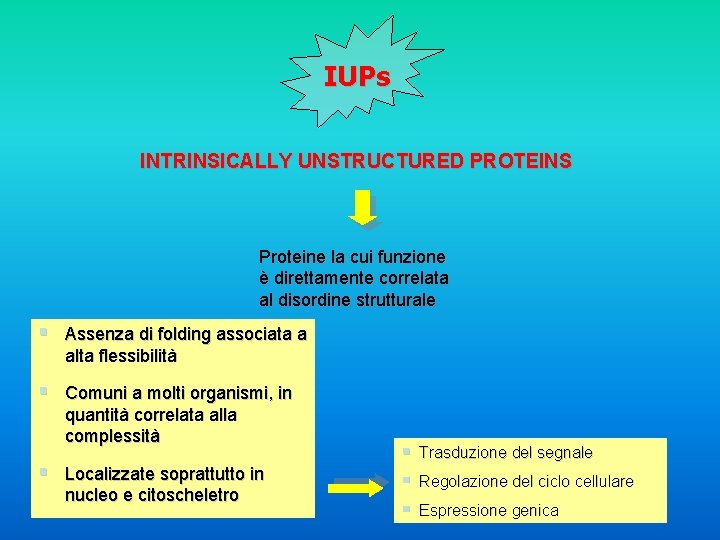 IUPs INTRINSICALLY UNSTRUCTURED PROTEINS Proteine la cui funzione è direttamente correlata al disordine strutturale