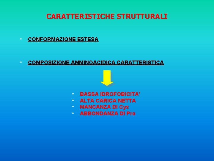 CARATTERISTICHE STRUTTURALI • CONFORMAZIONE ESTESA • COMPOSIZIONE AMMINOACIDICA CARATTERISTICA • • BASSA IDROFOBICITA’ ALTA