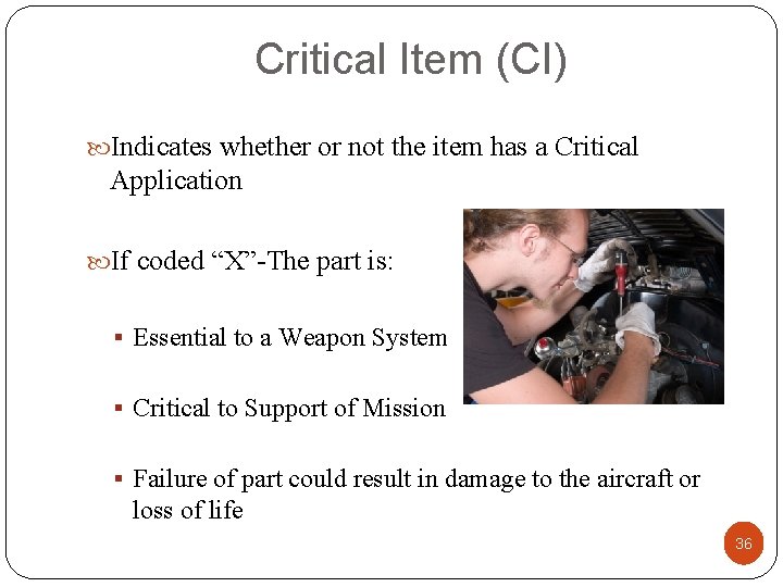 Critical Item (CI) Indicates whether or not the item has a Critical Application If