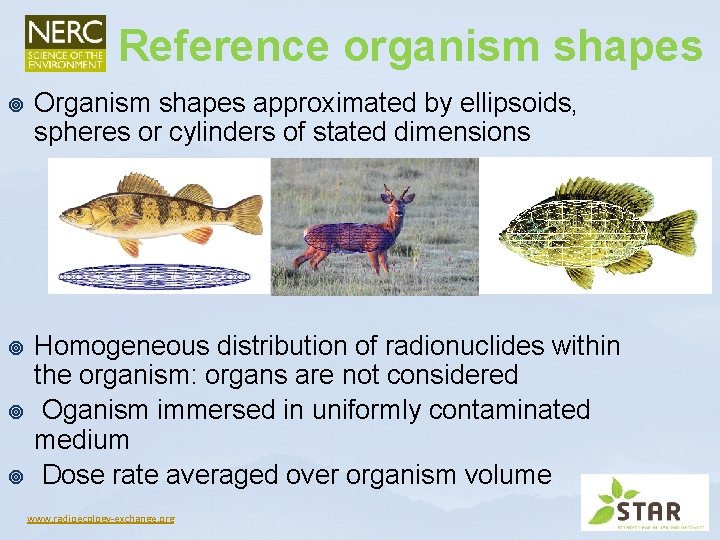 Reference organism shapes ¥ Organism shapes approximated by ellipsoids, spheres or cylinders of stated Reference organism shapes ¥ Organism shapes approximated by ellipsoids, spheres or cylinders of stated