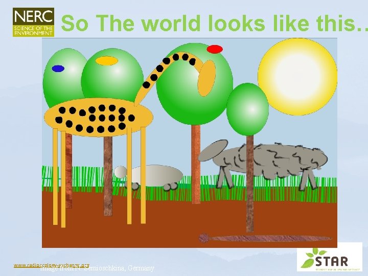 So The world looks like this… www. radioecology-exchange. org Image from N. Semioschkina, Germany So The world looks like this… www. radioecology-exchange. org Image from N. Semioschkina, Germany
