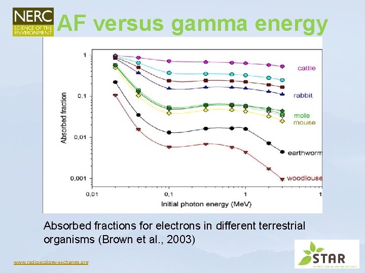 AF versus gamma energy Absorbed fractions for electrons in different terrestrial organisms (Brown et AF versus gamma energy Absorbed fractions for electrons in different terrestrial organisms (Brown et