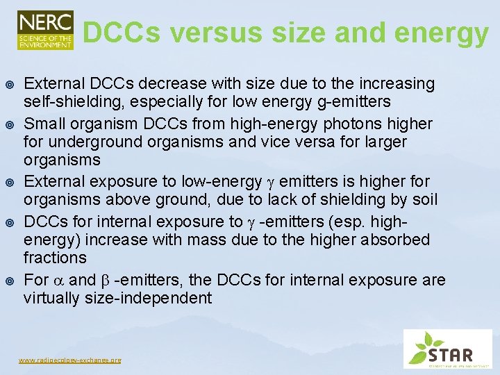 DCCs versus size and energy ¥ ¥ ¥ External DCCs decrease with size due DCCs versus size and energy ¥ ¥ ¥ External DCCs decrease with size due
