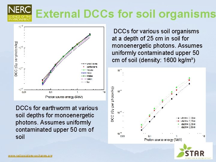 External DCCs for soil organisms DCCs for various soil organisms at a depth of External DCCs for soil organisms DCCs for various soil organisms at a depth of