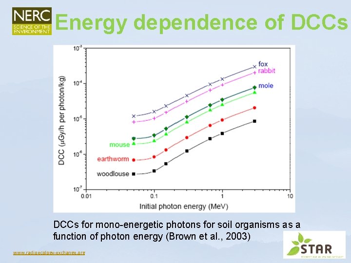 Energy dependence of DCCs for mono-energetic photons for soil organisms as a function of Energy dependence of DCCs for mono-energetic photons for soil organisms as a function of