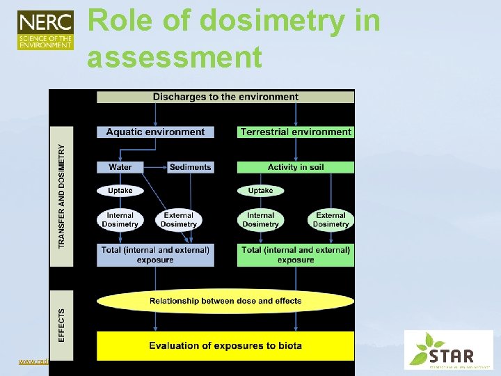 Role of dosimetry in assessment www. radioecology-exchange. org Role of dosimetry in assessment www. radioecology-exchange. org