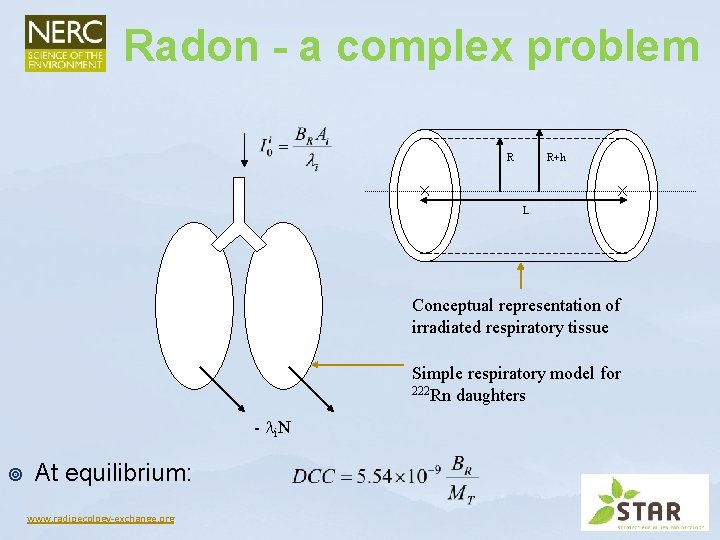 Radon - a complex problem R R+h L Conceptual representation of irradiated respiratory tissue Radon - a complex problem R R+h L Conceptual representation of irradiated respiratory tissue