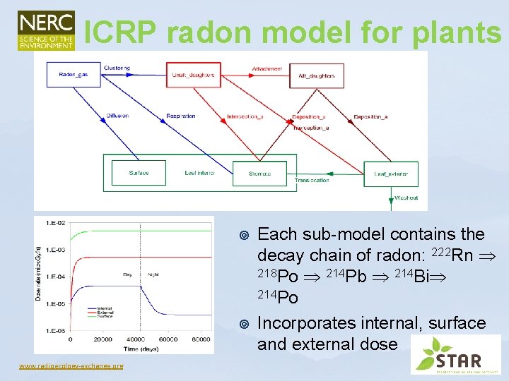 ICRP radon model for plants ¥ ¥ www. radioecology-exchange. org Each sub-model contains the ICRP radon model for plants ¥ ¥ www. radioecology-exchange. org Each sub-model contains the