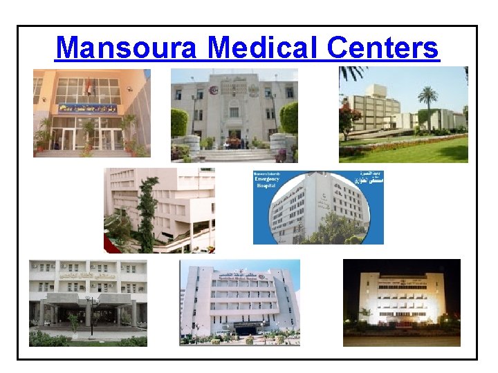 Mansoura Medical Centers 