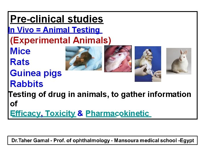 Pre-clinical studies In Vivo = Animal Testing (Experimental Animals) Mice Rats Guinea pigs Rabbits