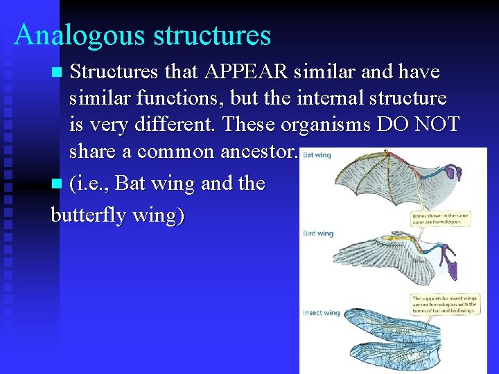 Analogous structures Structures that APPEAR similar and have similar functions, but the internal structure