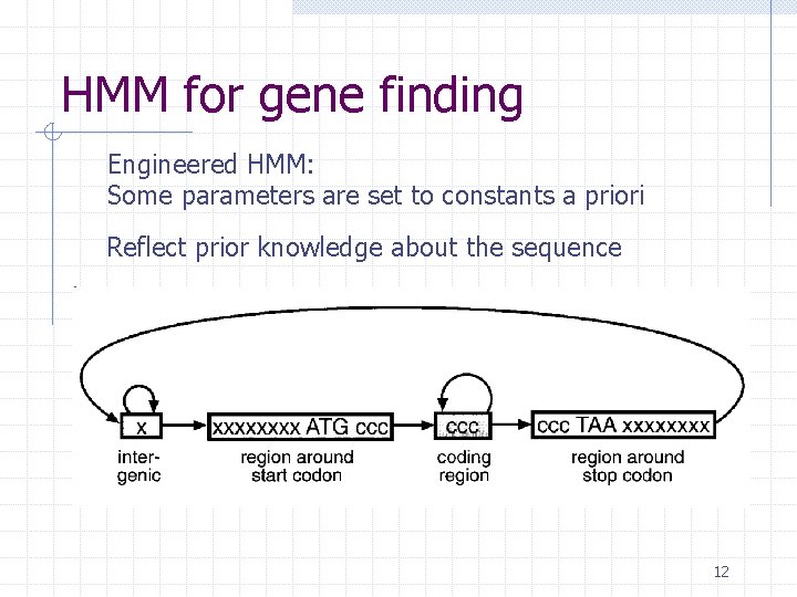 HMM for gene finding Engineered HMM: Some parameters are set to constants a priori HMM for gene finding Engineered HMM: Some parameters are set to constants a priori