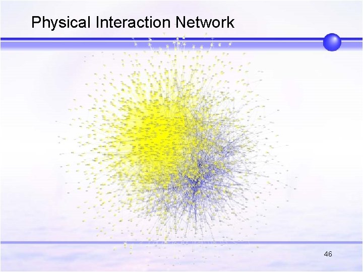 Physical Interaction Network 46 Physical Interaction Network 46