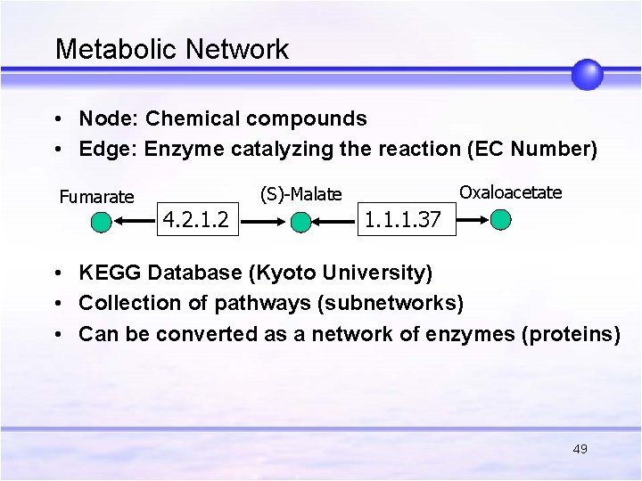 Metabolic Network • Node: Chemical compounds • Edge: Enzyme catalyzing the reaction (EC Number) Metabolic Network • Node: Chemical compounds • Edge: Enzyme catalyzing the reaction (EC Number)