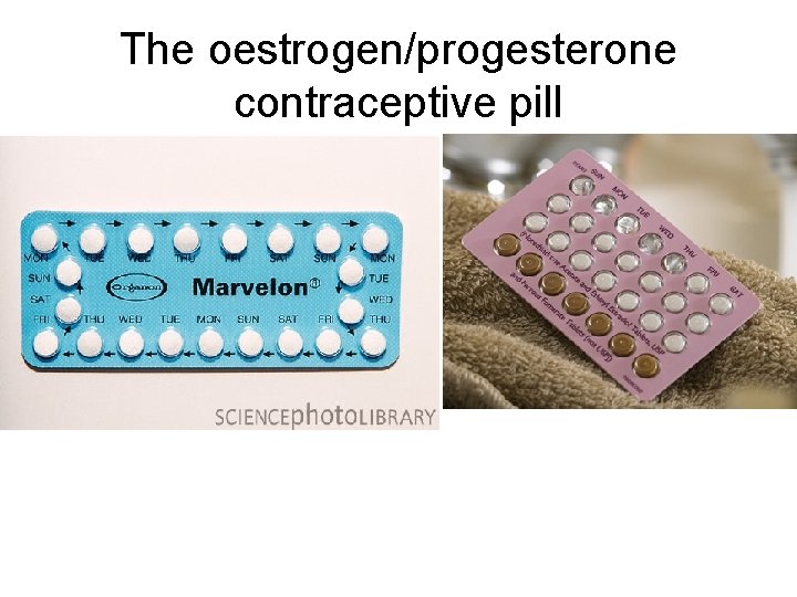 The oestrogen/progesterone contraceptive pill The oestrogen/progesterone contraceptive pill