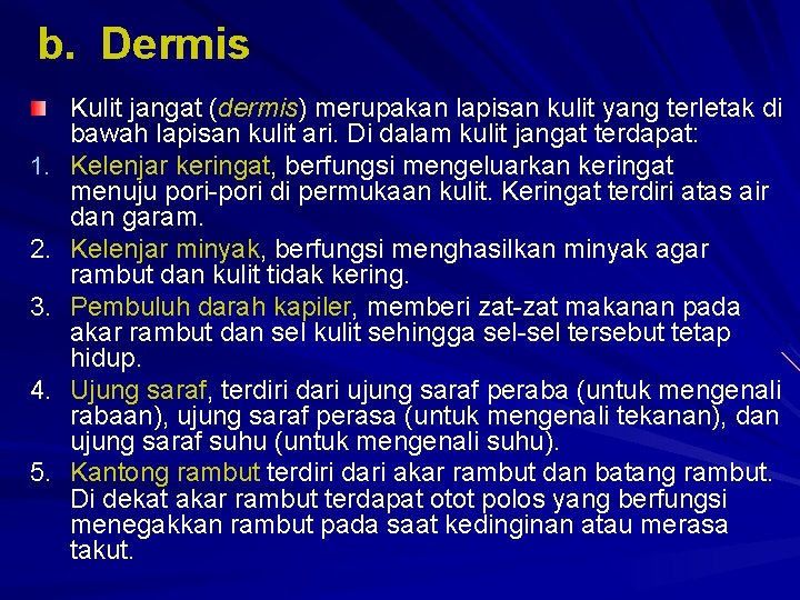 b. Dermis 1. 2. 3. 4. 5. Kulit jangat (dermis) merupakan lapisan kulit yang