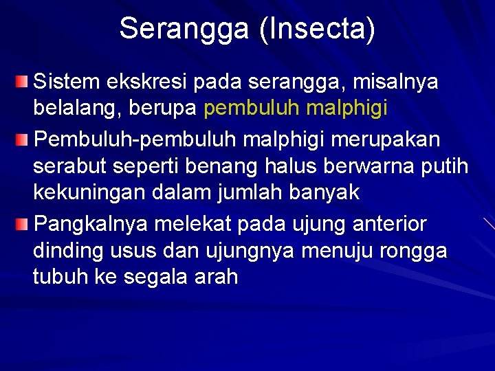 Serangga (Insecta) Sistem ekskresi pada serangga, misalnya belalang, berupa pembuluh malphigi Pembuluh-pembuluh malphigi merupakan