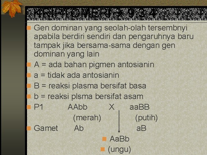 KRIPTOMERI 9: 3: 4 n Gen dominan yang seolah-olah tersembnyi n n n apabila