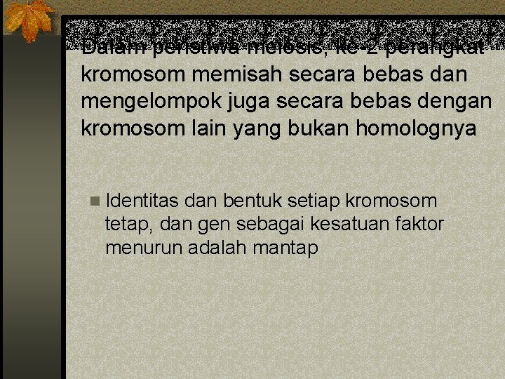 Dalam peristiwa meiosis, ke-2 perangkat kromosom memisah secara bebas dan mengelompok juga secara bebas