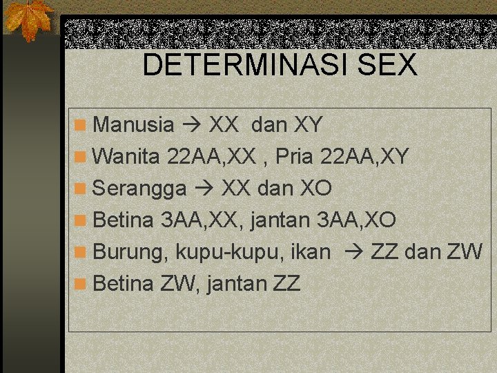 DETERMINASI SEX n Manusia XX dan XY n Wanita 22 AA, XX , Pria